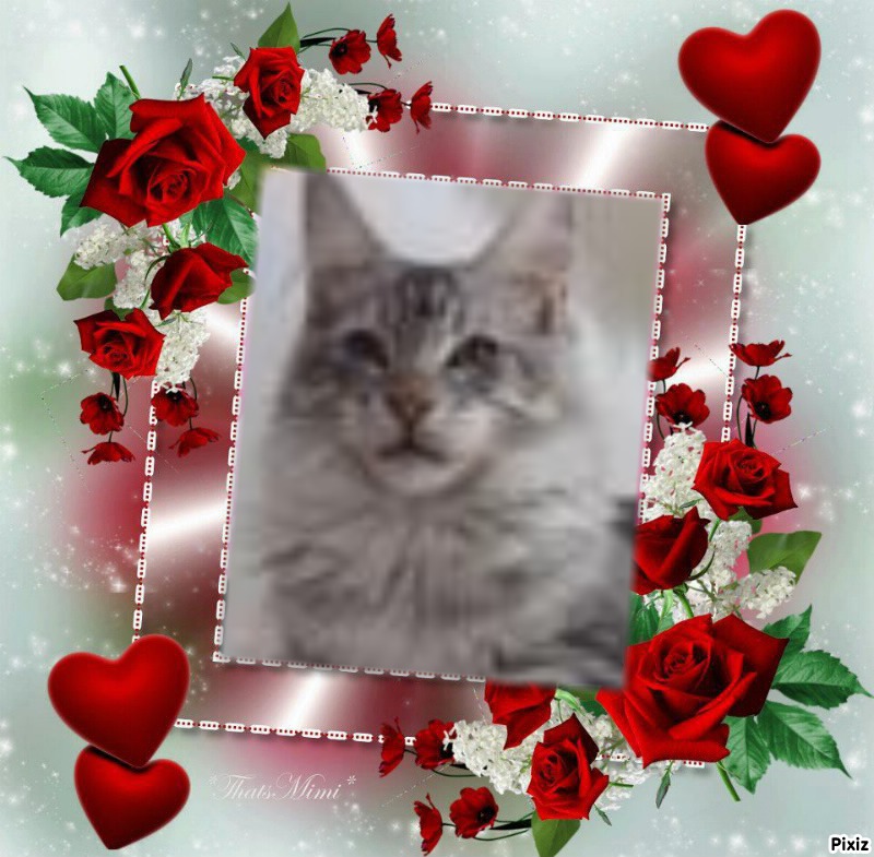 Candice-armani of the Ada family