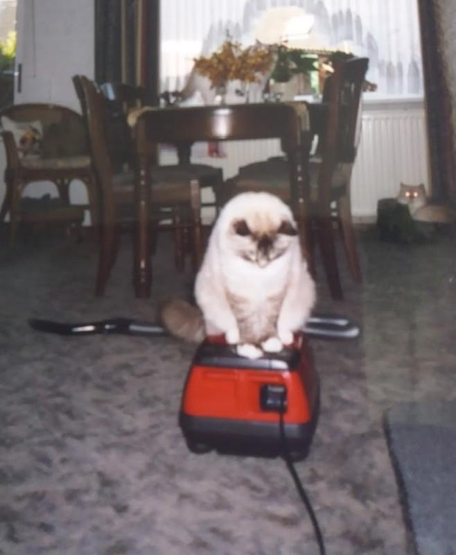 Pancho of the Ada family