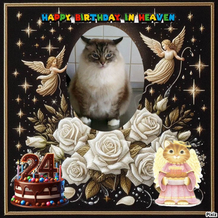 Pancho of the Ada family