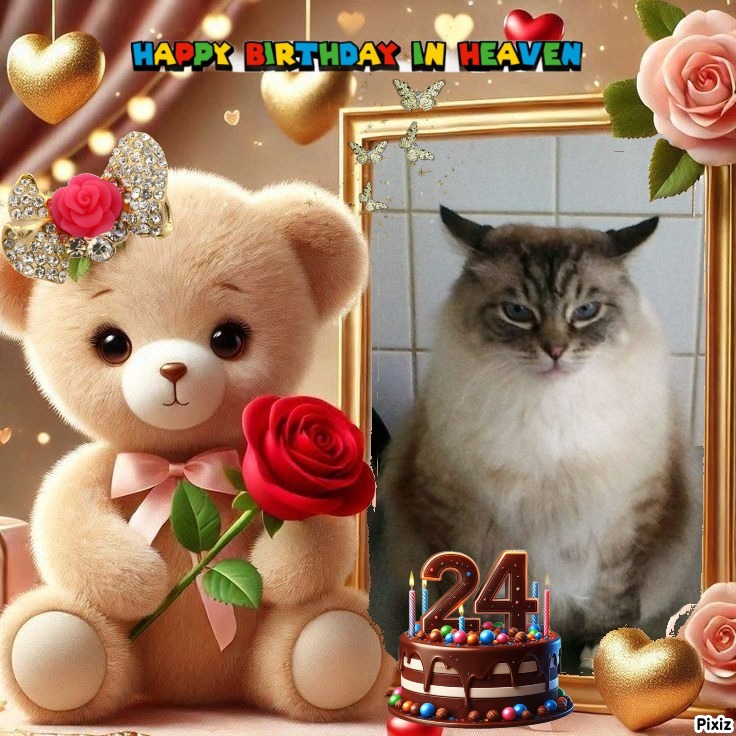 Pancho of the Ada family