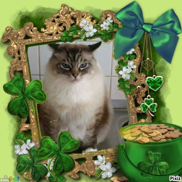 Pancho of the Ada family