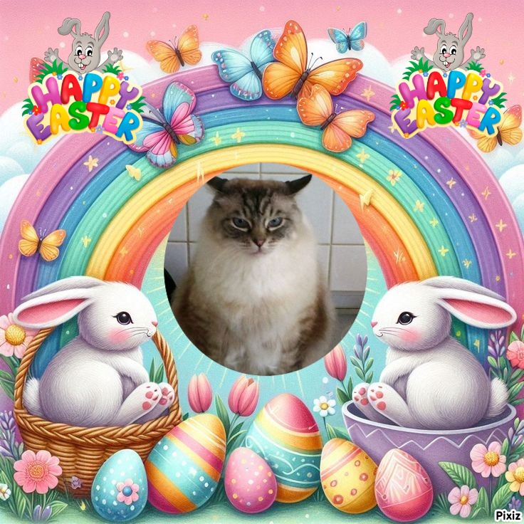 Pancho of the Ada family