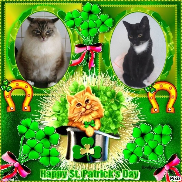 Pancho of the Ada family