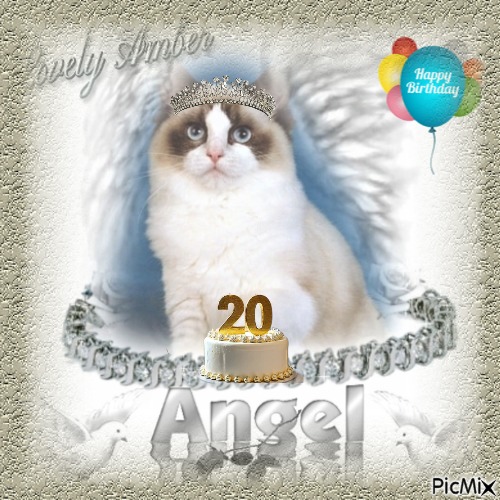 Lovely Amber of the Ada family