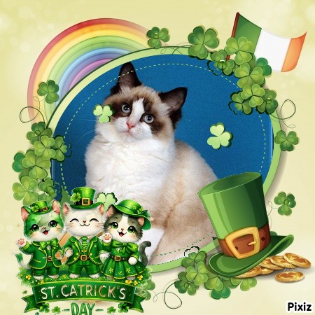 Lovely Amber of the Ada family