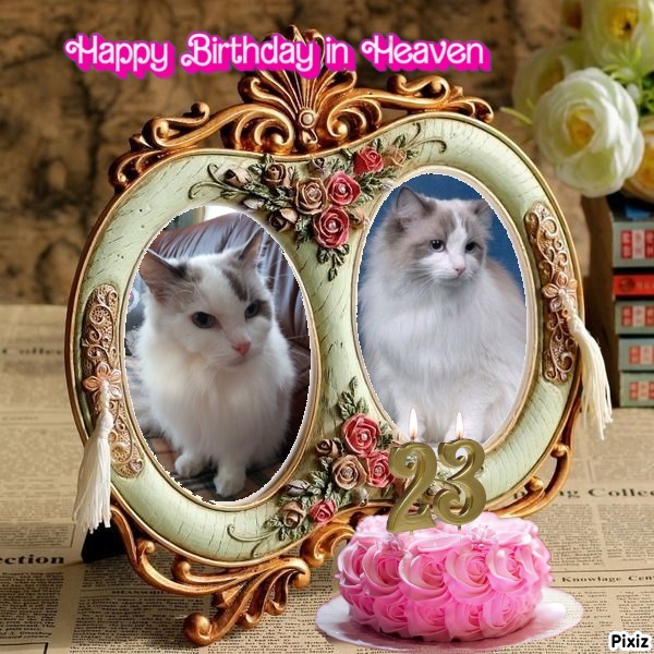 Ada uploaded   59  day/s  ago