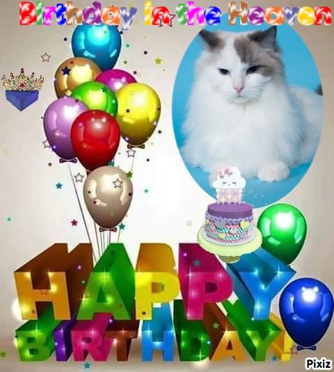 Ada uploaded   59  day/s  ago