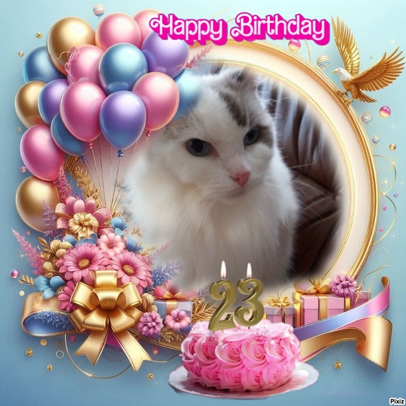 Ada uploaded   59  day/s  ago