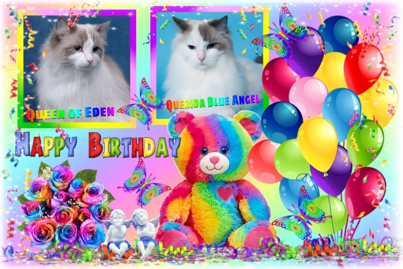 Ada uploaded   59  day/s  ago