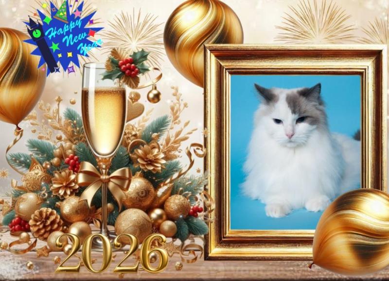 Querida Blue Angel of the Ada family