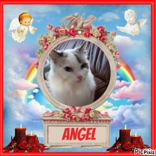 Ada uploaded   21  day/s  ago