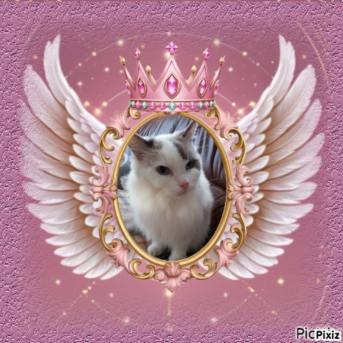 Querida Blue Angel of the Ada family