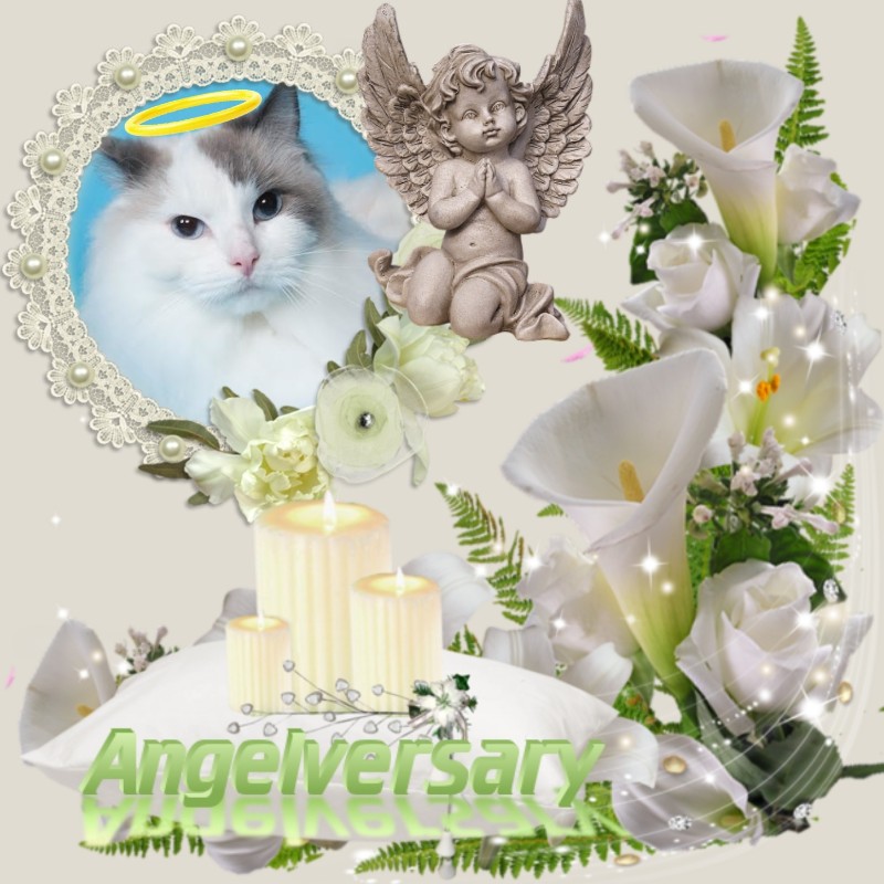 Querida Blue Angel of the Ada family