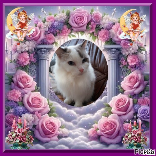 Querida Blue Angel of the Ada family