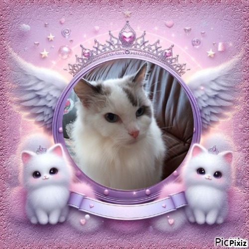 Querida Blue Angel of the Ada family