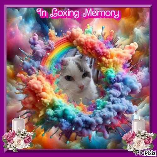 Querida Blue Angel of the Ada family