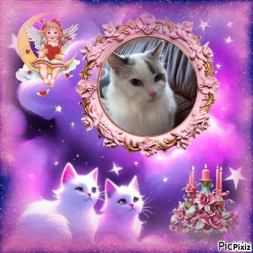 Querida Blue Angel of the Ada family