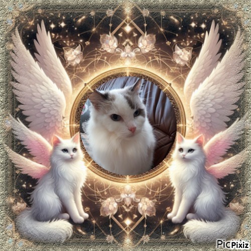 Querida Blue Angel of the Ada family