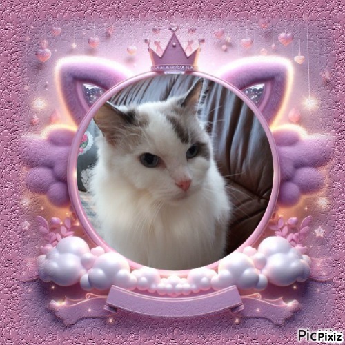 Querida Blue Angel of the Ada family