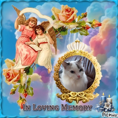 Querida Blue Angel of the Ada family