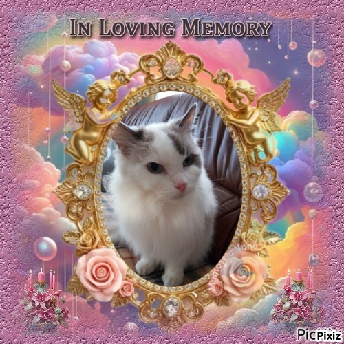 Querida Blue Angel of the Ada family