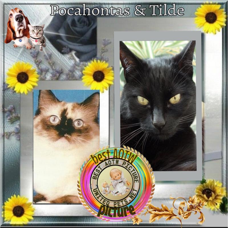 Pocahontas of the Ada family