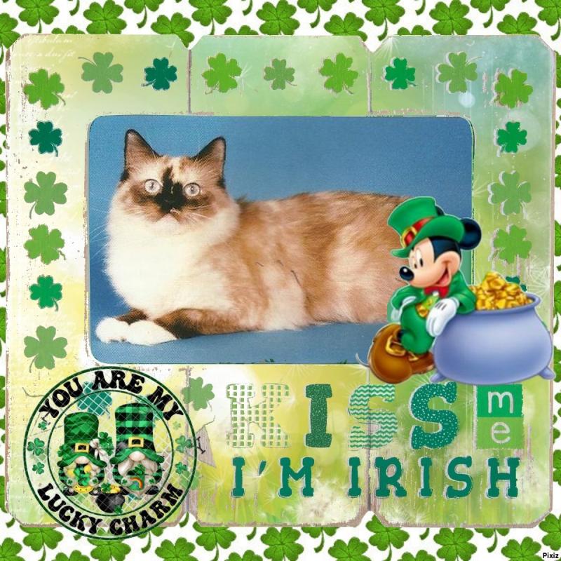 Pocahontas of the Ada family