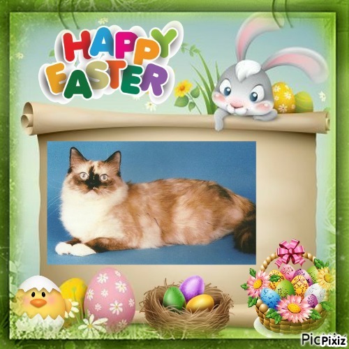 Pocahontas of the Ada family