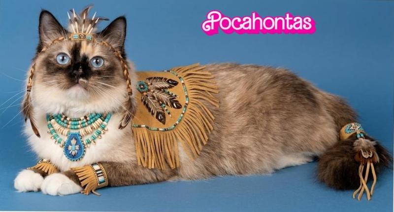 Pocahontas of the Ada family