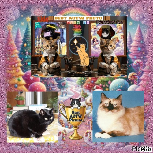 Ada uploaded   13 hour/s ago