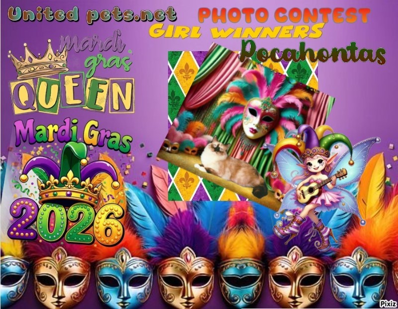 Ada uploaded   77  day/s  ago