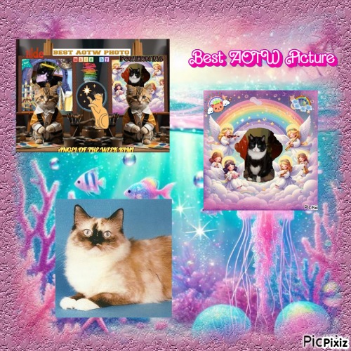 Ada uploaded   13 hour/s ago