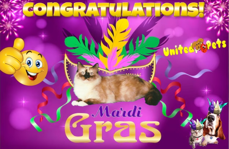 Ada uploaded   77  day/s  ago