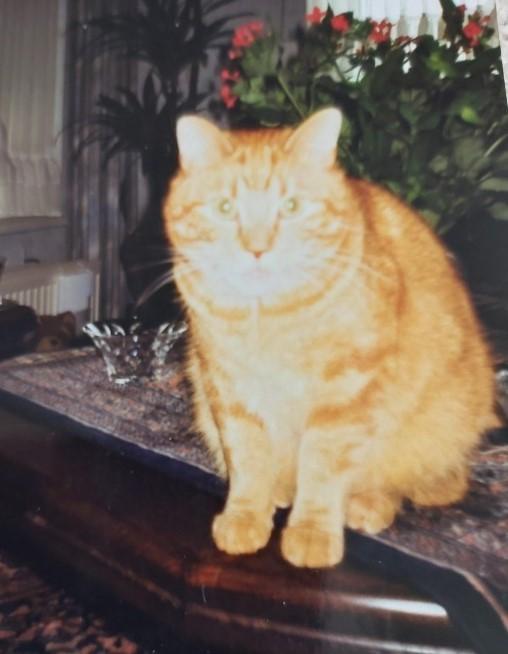 Ada uploaded   77  day/s  ago