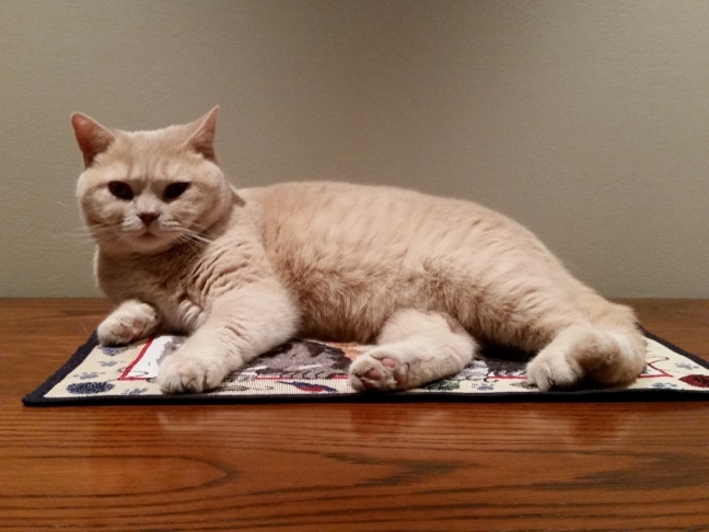 Pocahontas of the Ada family