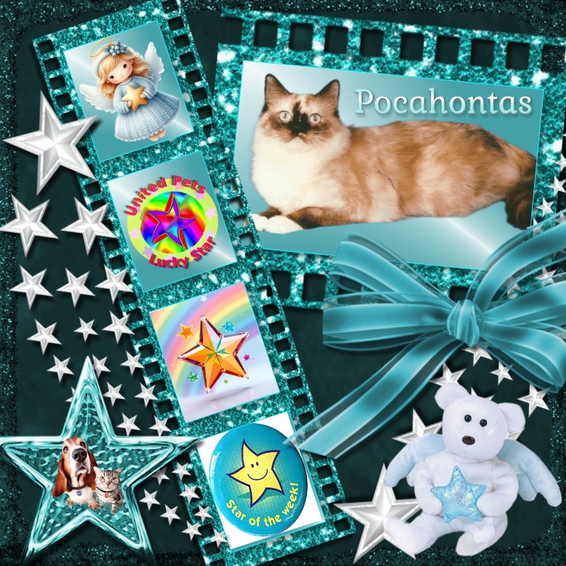 Pocahontas of the Ada family