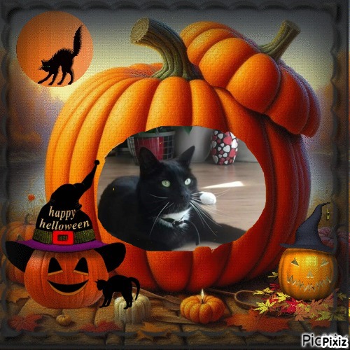 Ocean-flocy of the Ada family