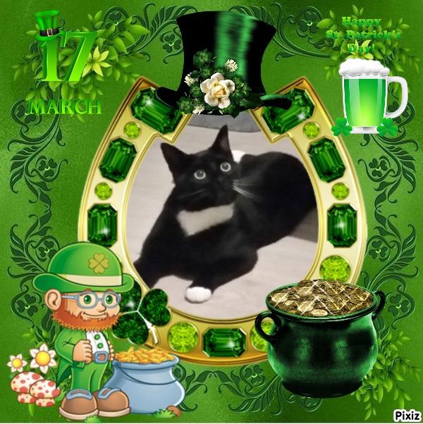 Ocean-flocy of the Ada family