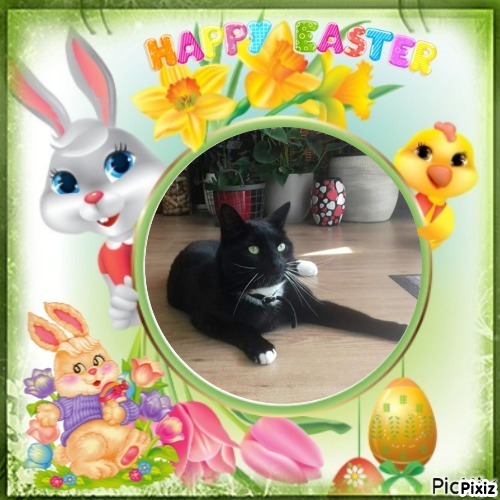 Ocean-flocy of the Ada family