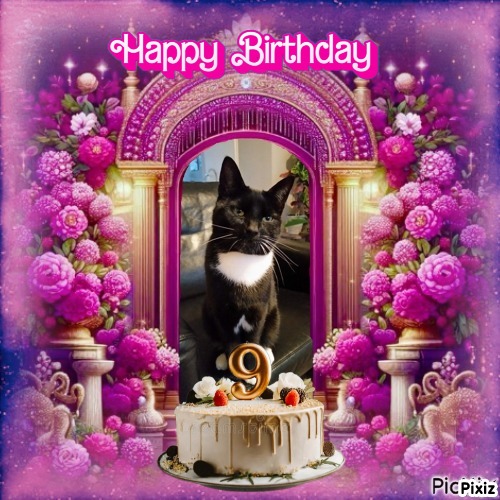 Ocean-flocy of the Ada family