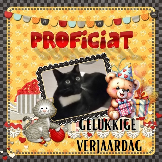 Ocean-flocy of the Ada family