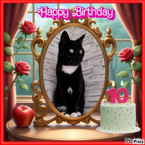 Ocean-flocy of the Ada family