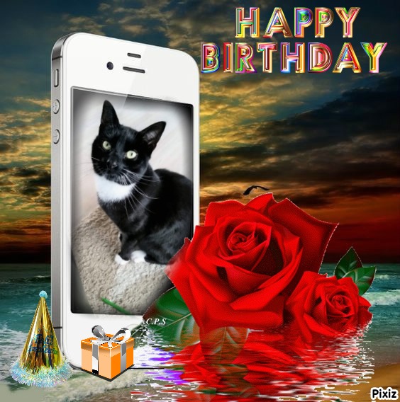 Ada uploaded   57  day/s  ago