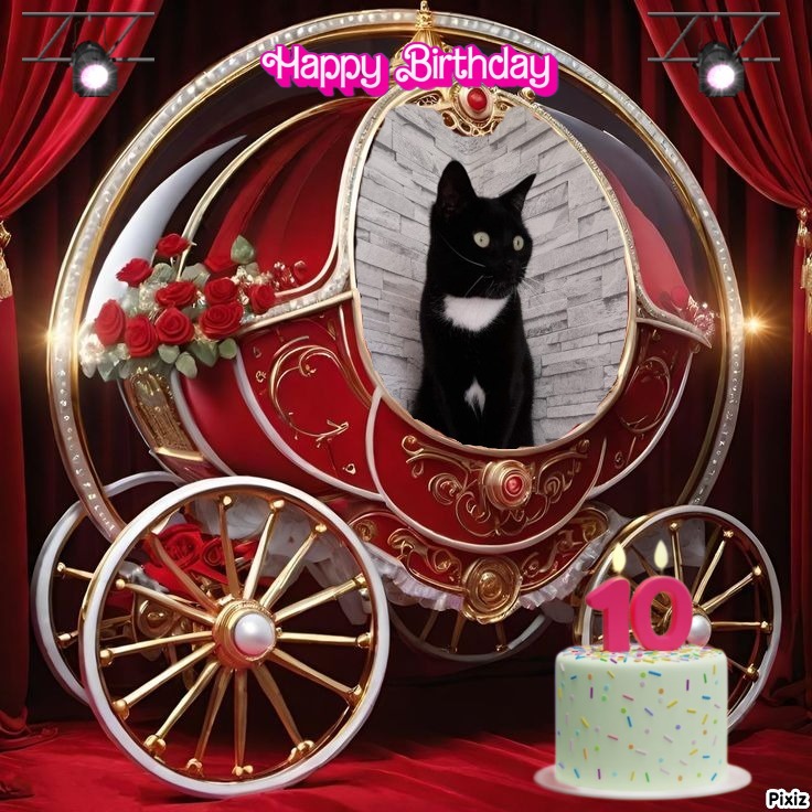 Ocean-flocy of the Ada family