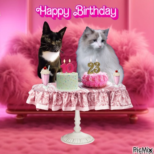 Ocean-flocy of the Ada family