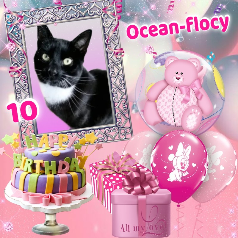 Ada uploaded   57  day/s  ago