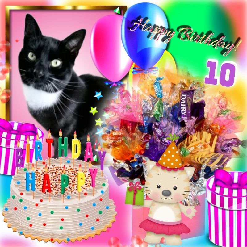 Ada uploaded   57  day/s  ago