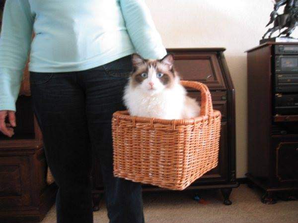 Ada uploaded   4 year/s ago