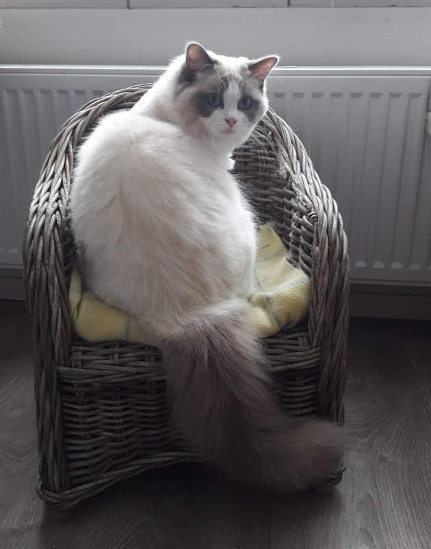 Ada uploaded   2 year/s ago