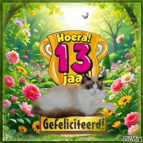 Ada uploaded   9  day/s  ago